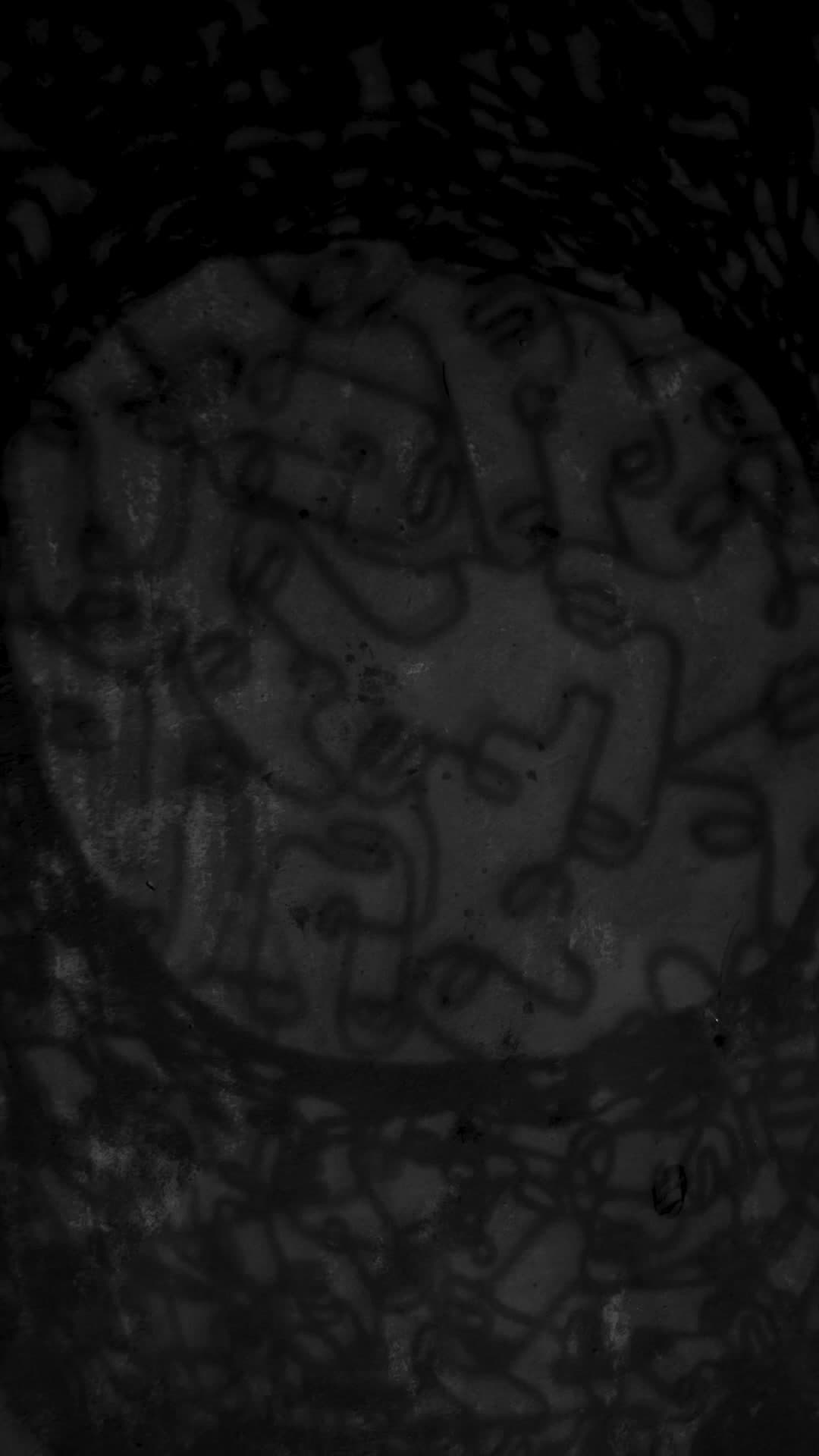 Conexiones Expo experiencia inmersiva Andrés Ribón