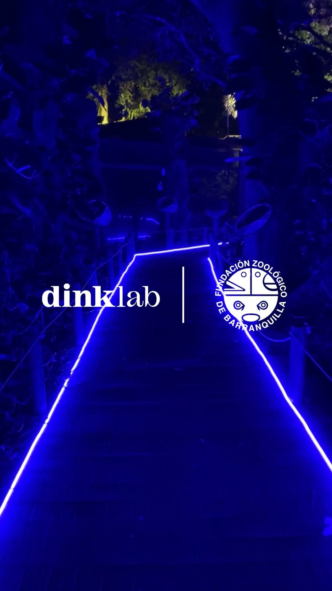 Safari Nocturno experiencia inmersiva ZooBAQ Barranquilla